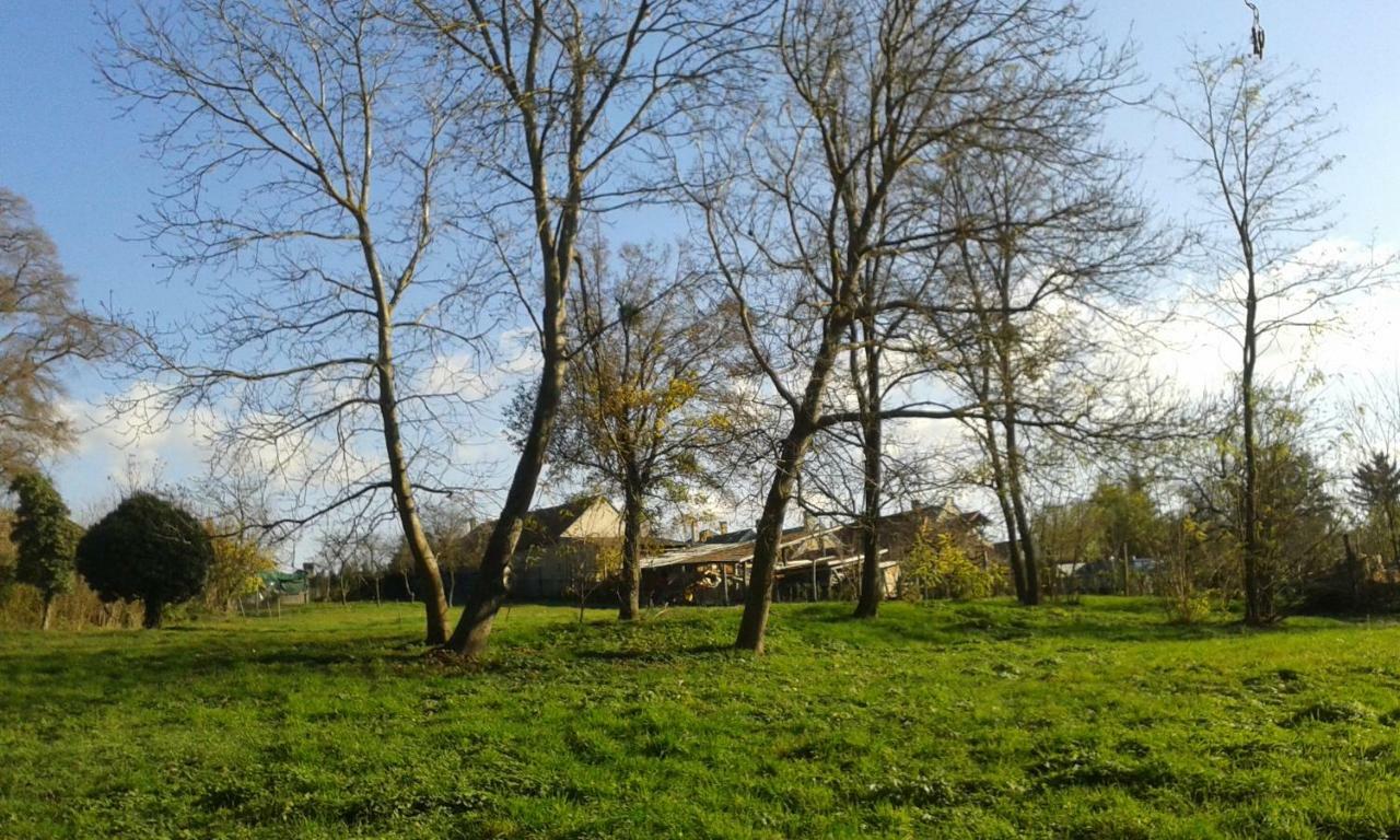 Zalaszanto Bochmann Cottage מראה חיצוני תמונה